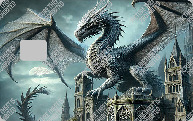 Bank  Card Sticker-BC-1572